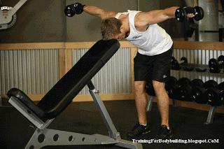 健身房一周训练计划健身动作教学,老年健身房一周健身计划表