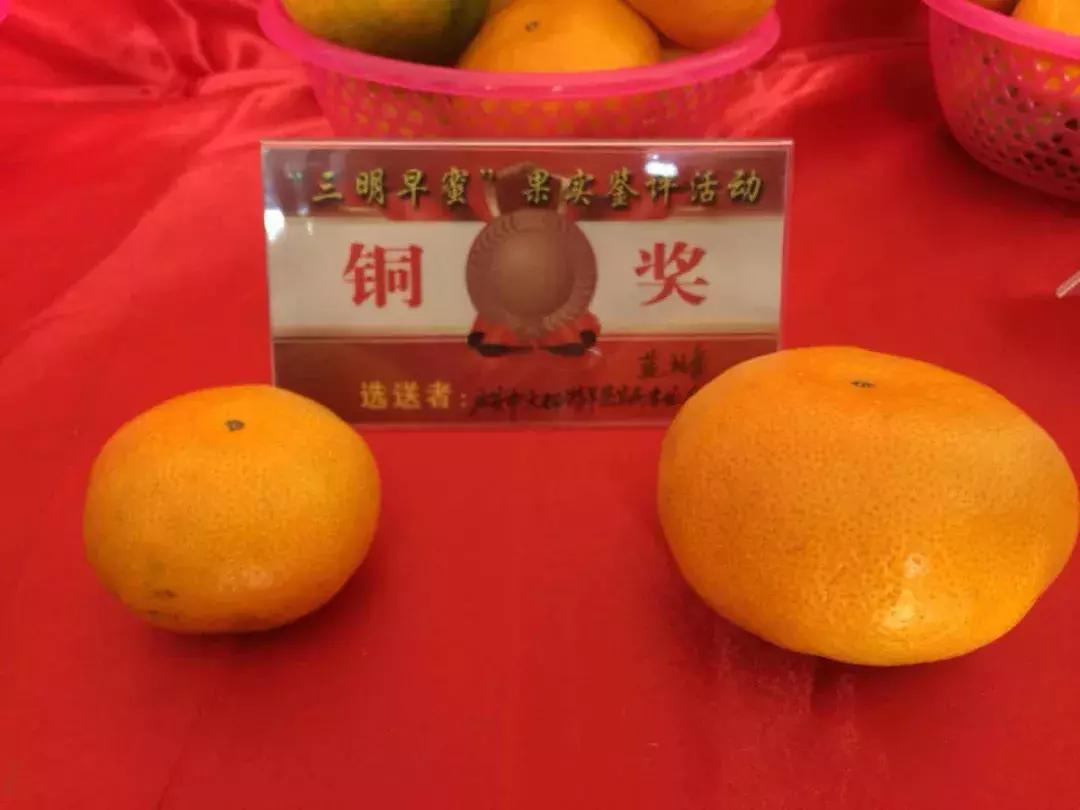 这一口甜蜜，让几百个三明人恋爱了