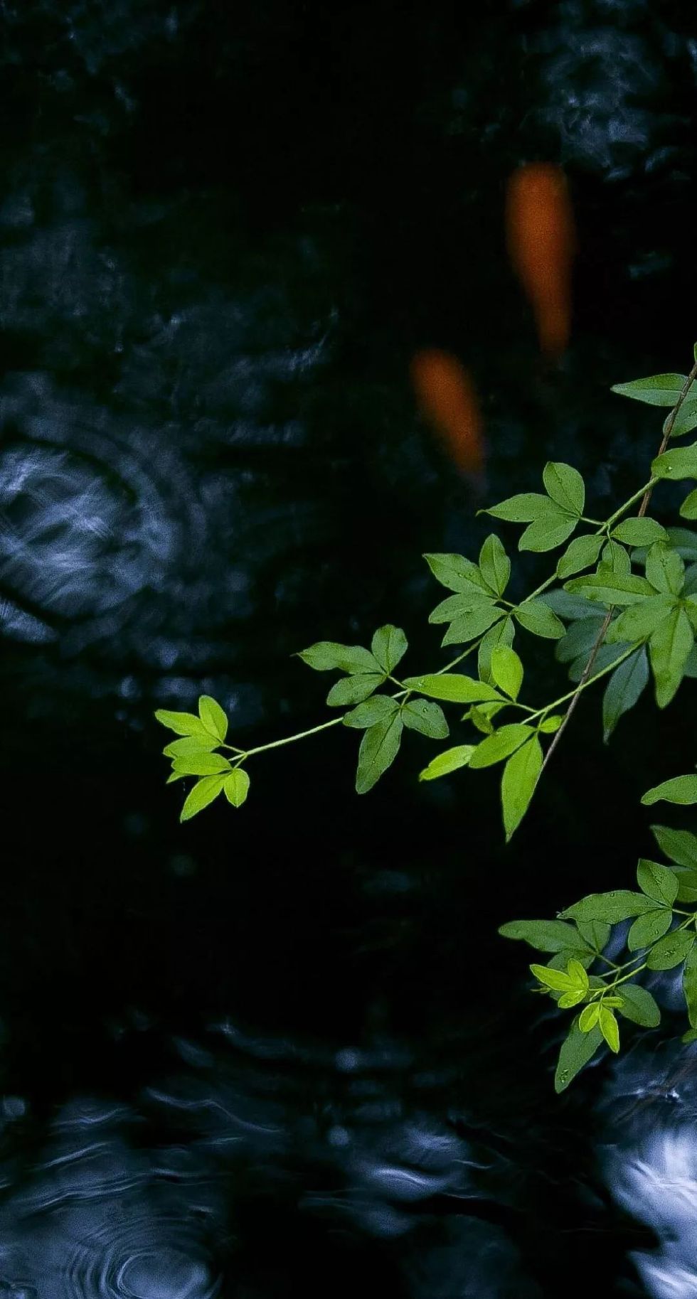 古有“九雅”，忘忧释怀丨私享·仿古