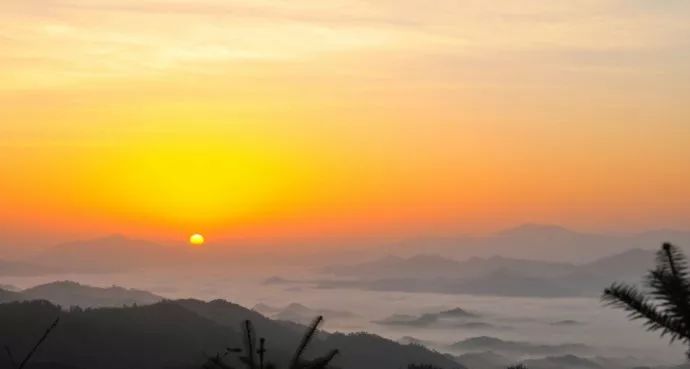 秋在广东很珍贵，若不细心寻找，它便静静地离开了