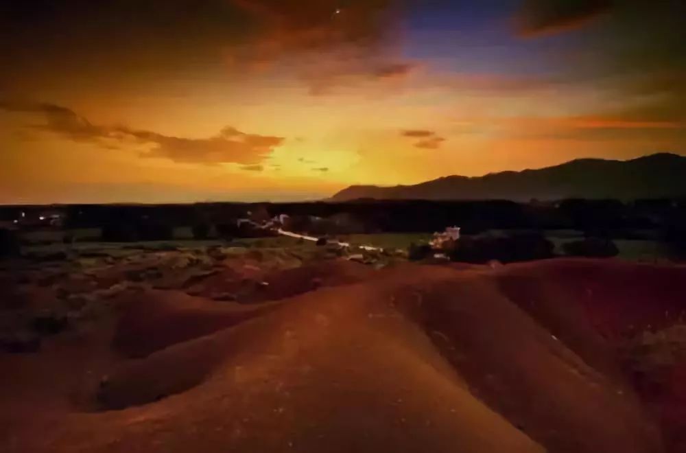 秋在广东很珍贵，若不细心寻找，它便静静地离开了