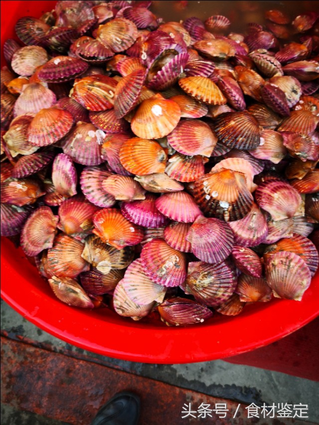 沈阳农贸市场里的美食,沈阳的秋天很美