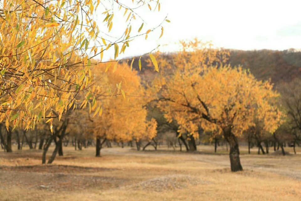 客户投诉服务态度不好怎么回复,银行关于客户投诉的回复声明