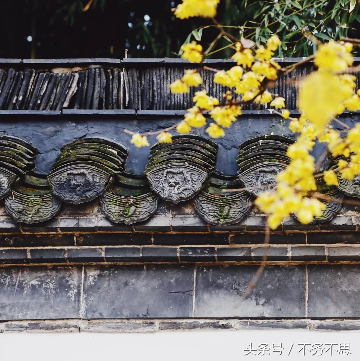 冬天扬州瘦西湖,十二月份的扬州瘦西湖