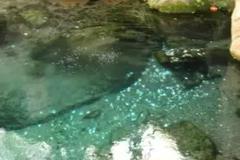 灵岩寺与趵突泉的区别,灵岩寺和趵突泉离多远