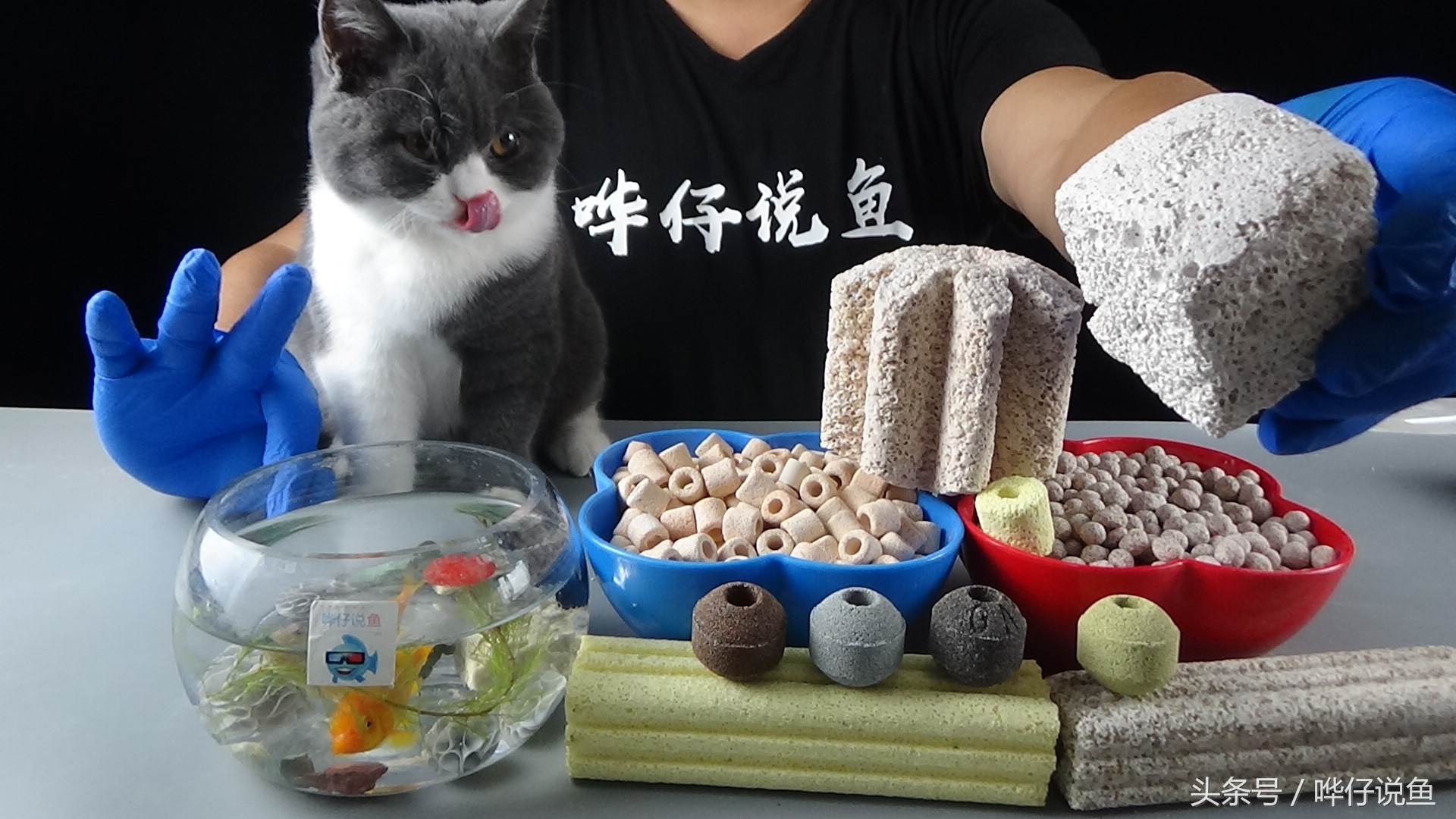 哗仔独家养水秘籍,哗仔独家开缸养水秘籍