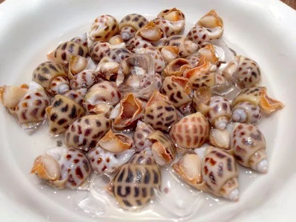 海鲜推荐南宁即食餐厅地址,南宁第一大海鲜配送店