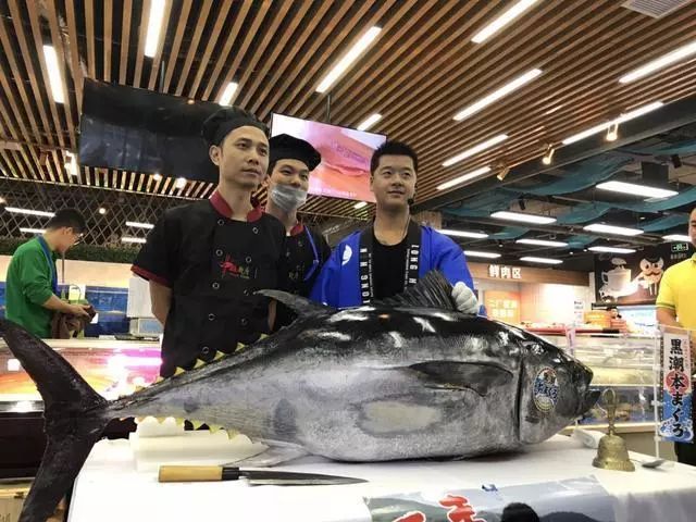 预告｜易采鲜生即将亮相青岛渔博会，招募全国运营商！