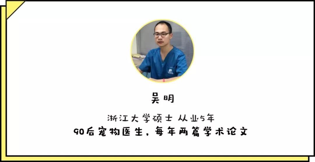 宠物皮肤病科普和治疗,宠物医生奇葩问题
