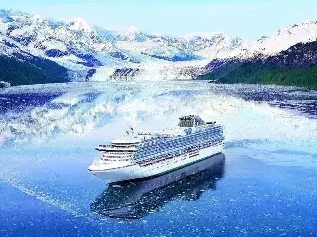 “锦鲤”信小呆的经历,中国锦鲤信小呆环游世界2年归来