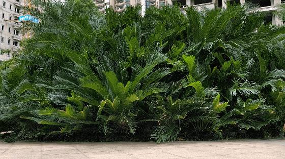 哪个航司的机票最便宜,哪个航司服务最好