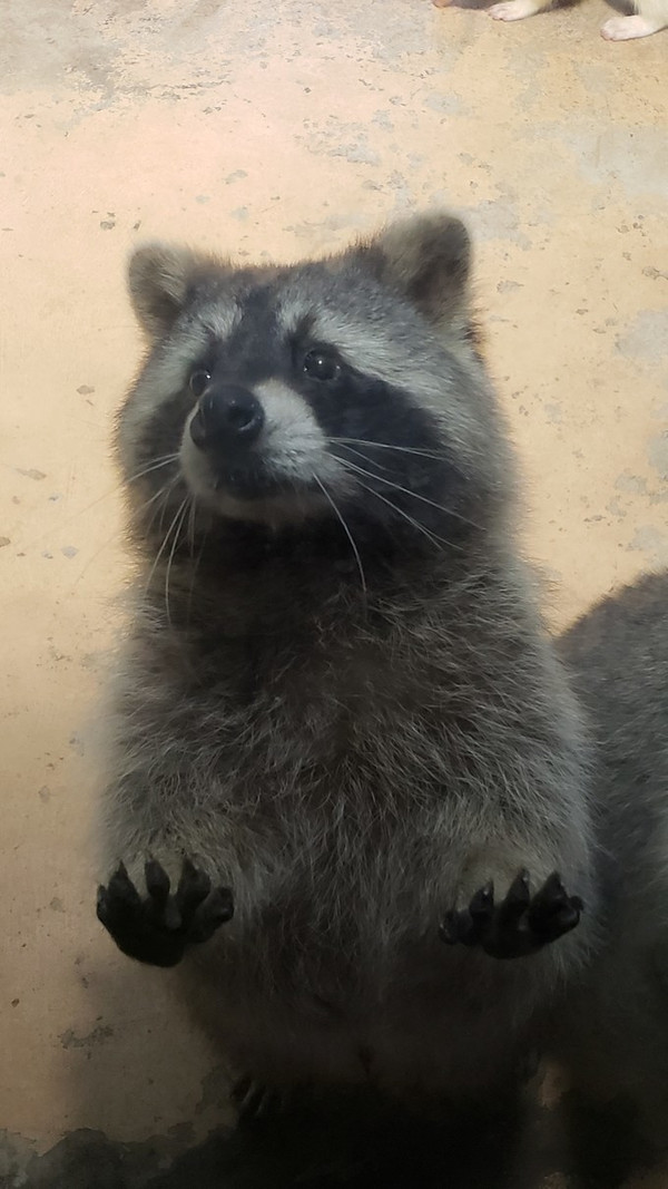 三亚独行攻略,三亚必去的景点和美食