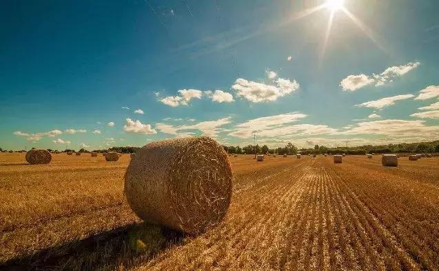 入股投资基本知识,集体建设土地入股的六种模式