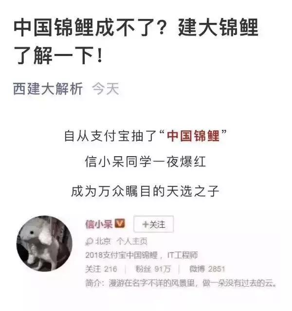 中国锦鲤活动在哪里,18年的锦鲤活动有哪些