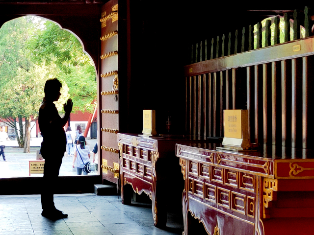 oppo口袋机,口袋云台拍照神器