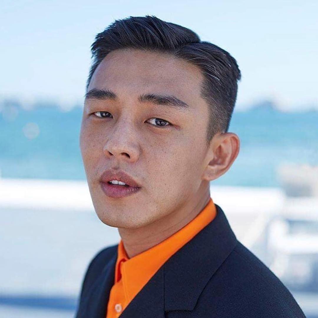 河智苑的韩国艺人,河智苑韩流