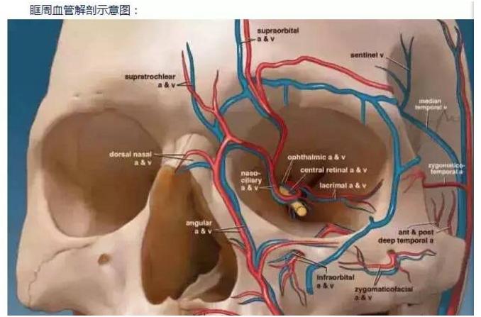 注射玻尿酸的危害图片,注射玻尿酸有害吗