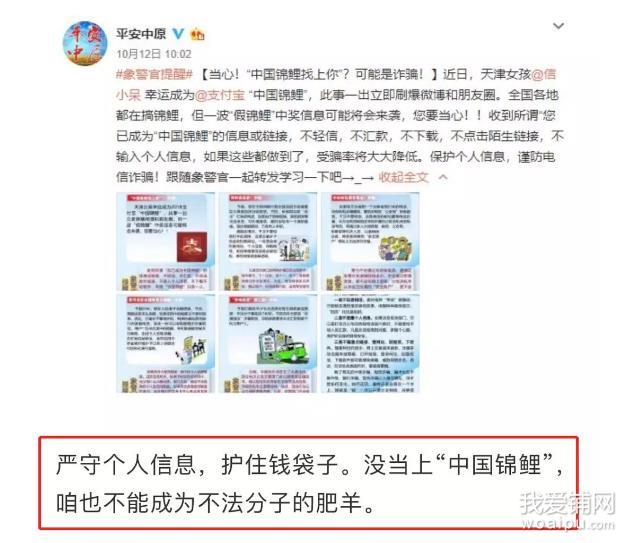 锦鲤到底什么套路,合肥锦鲤是什么