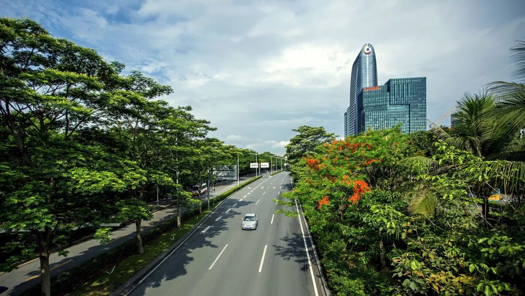 乡村游秋天,乡村旅游探寻真实的乡土风情