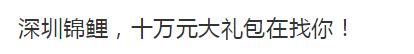 锦鲤为什么火了,锦鲤为什么那么火