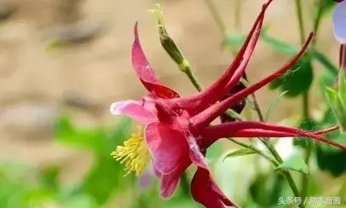 最实用的成语集锦,史上最全成语分类汇总