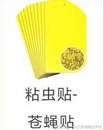 amazonbusinesstools,amazonbusinesses