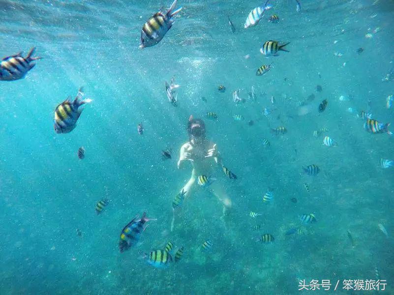 适合避寒的海岛 (国内直飞最便宜的海岛)