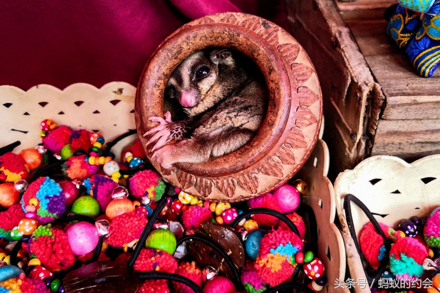 泰国清迈拜县攻略,泰国清迈县自由行攻略