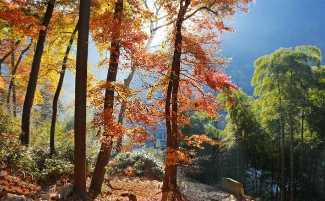 定了！上海又一条铁路获批，30min到湖州，还连接起了苏州！