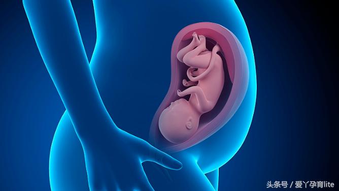 准妈妈孕十月养胎攻略