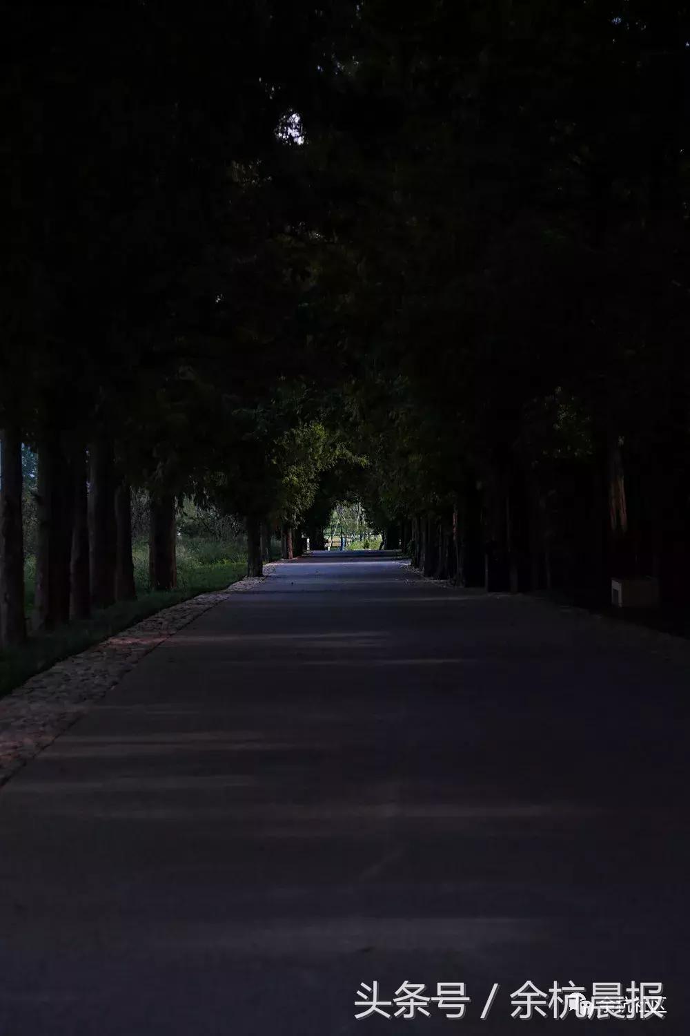 9090000㎡！余杭新增一大型公园，1299个足球场大！