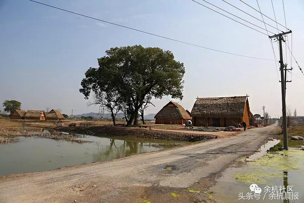 9090000㎡！余杭新增一大型公园，1299个足球场大！