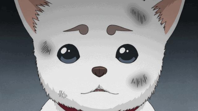 常州免费十大景区一日游路线推荐,常州旅游十大景区有哪些