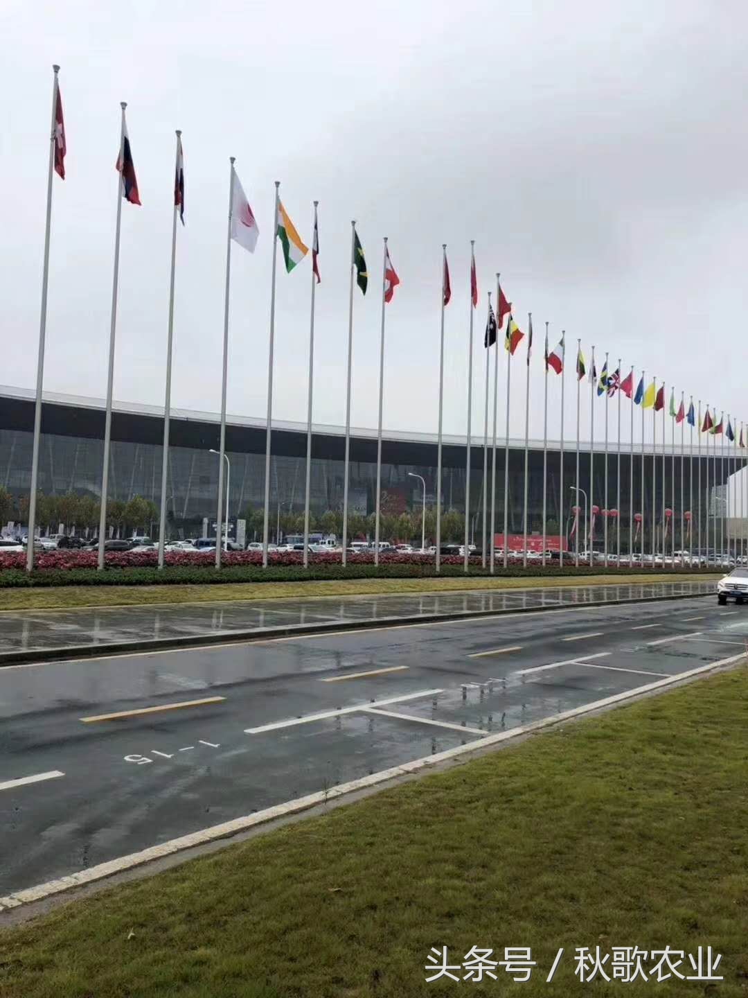 2016-2018十大品牌肥料,2024全国肥料双交会时间表