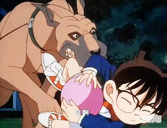 服了，看过诸多精彩表演，柯南君竟然可以和汪星人互动到当坐骑！