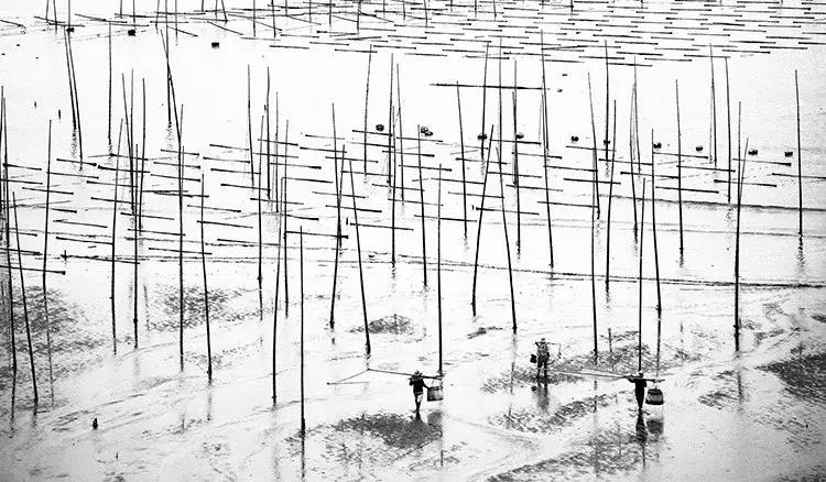 金秋十月，一群企业家办了件大事儿……