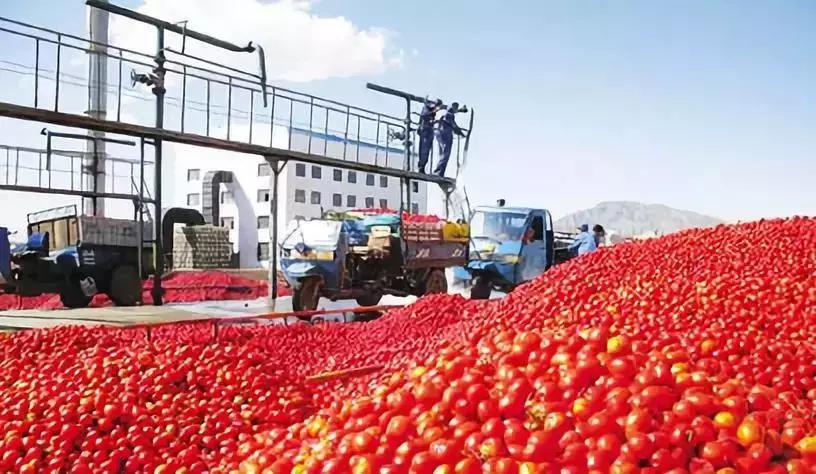 农业政策扶持项目多少亩有补贴,农业项目补贴政策有哪些