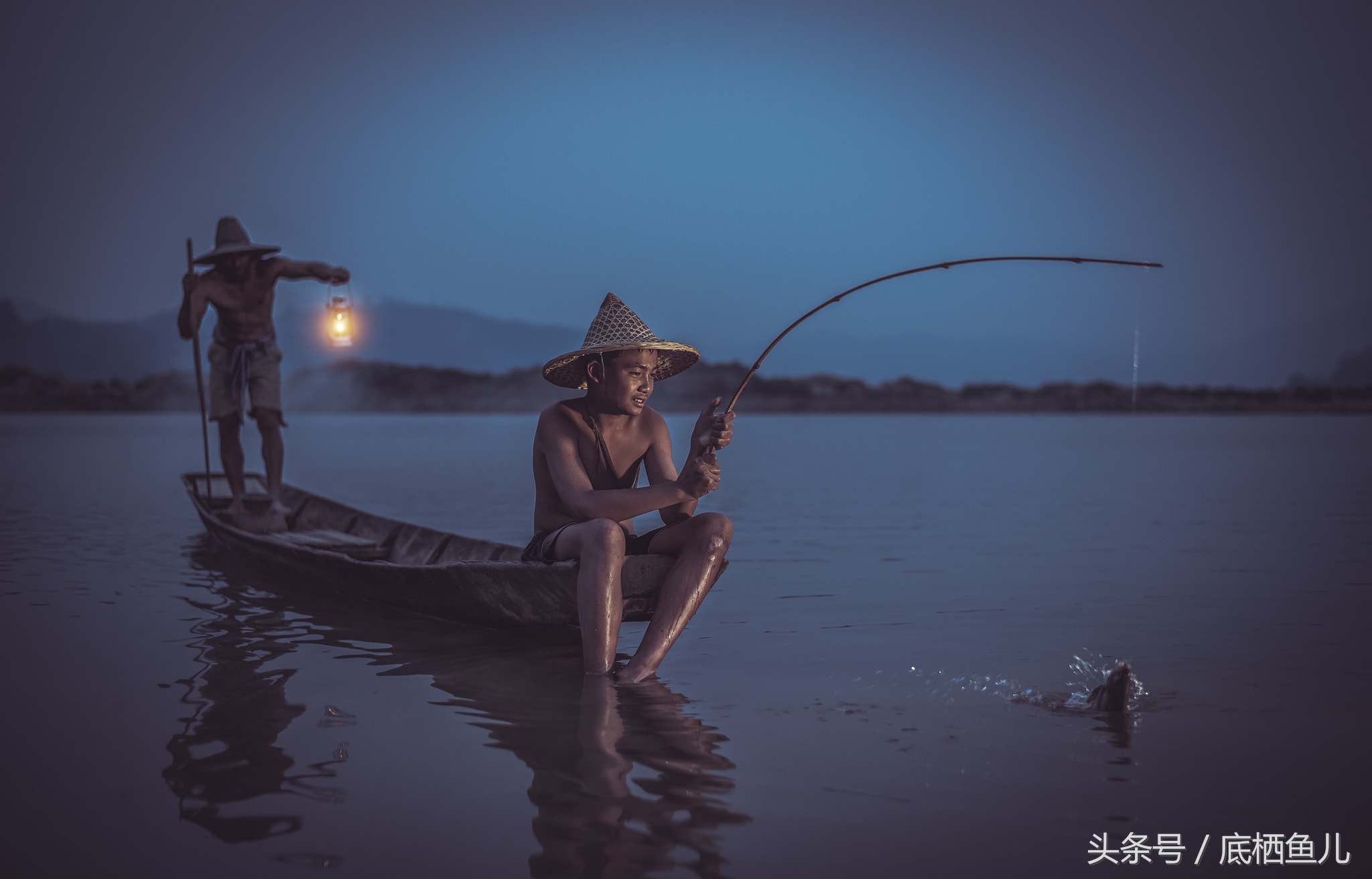 混养缸霸的利弊,不小心把鱼缸弄坏了怎么办