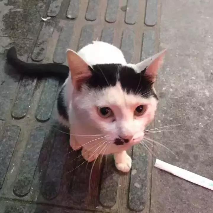 舍不得删的30张图片,几千张照片不舍得删除