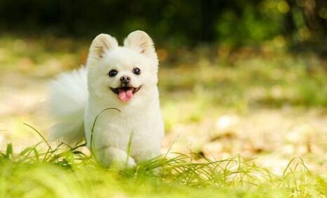 在校大学生做什么兼职赚钱又轻松,做什么兼职能赚点零花钱