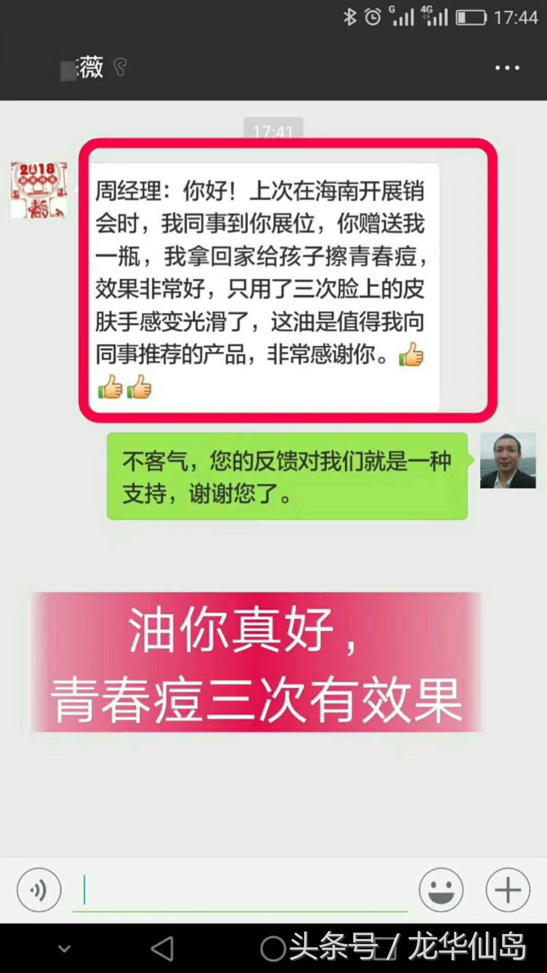 热带雨林探险之旅遇见蛇,亚公顶森林公园蟒蛇