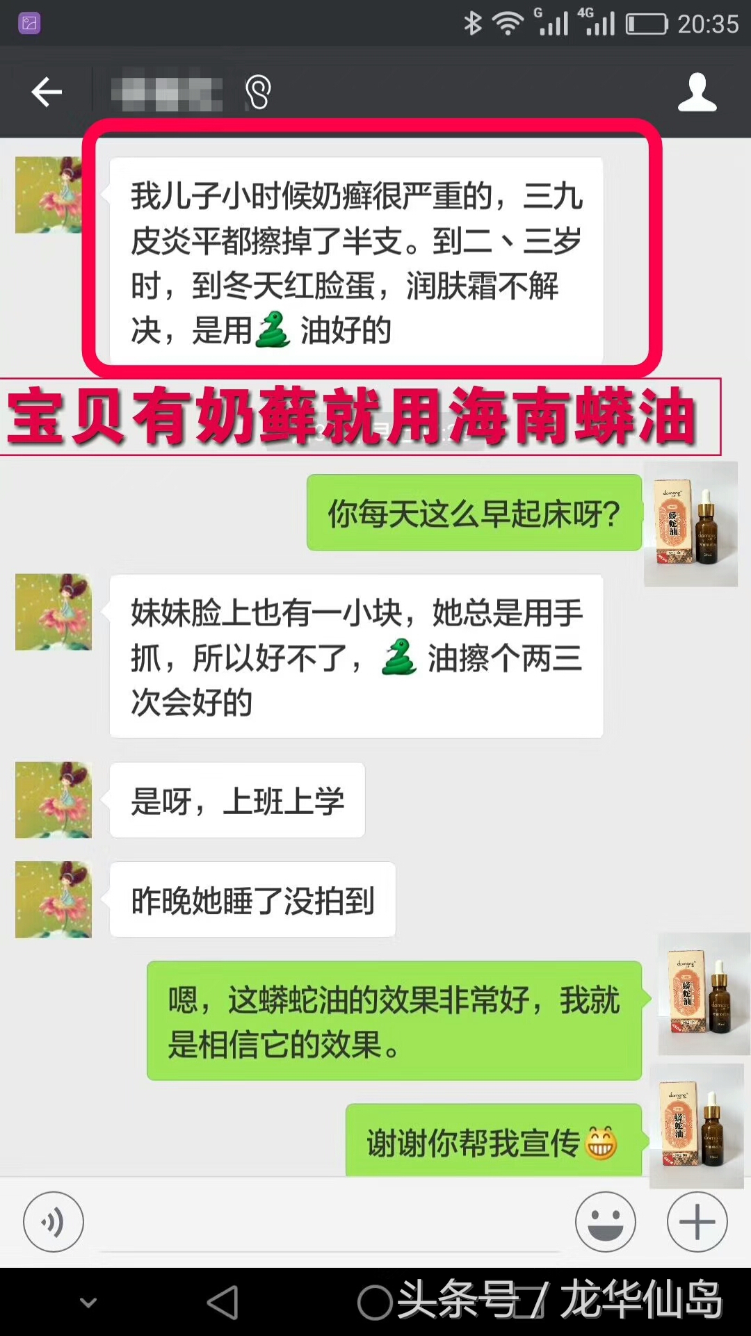 热带雨林探险之旅遇见蛇,亚公顶森林公园蟒蛇