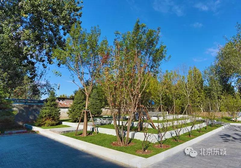 东四块玉口袋公园请您来播绿