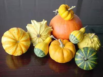 南瓜山药薏米糊辅食,南瓜薏米粥辅食