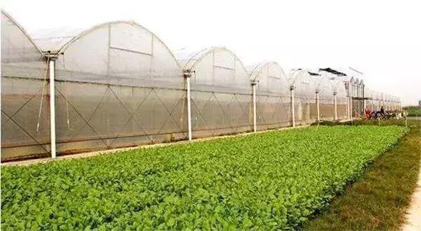 2020农业农村部28个政府补贴项目,国家农业补贴项目明细