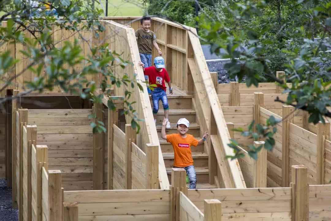 这片媲美京都的红叶之森只藏15栋梦幻树屋，杭州1.5h直达！