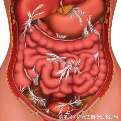 剖宫产还是顺产到底该如何选择,剖宫产好还是剖腹产好