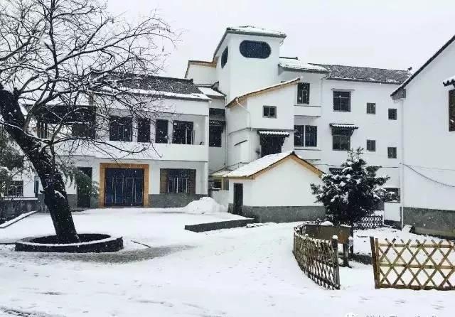 “望闻食嗅”皆养生……桐庐开启大杭州首条中医药健康养生之旅！