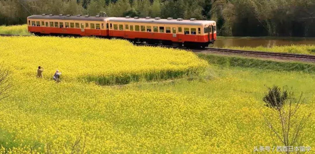 小偷家族日本大原海水浴场取景,小偷家族特写镜头