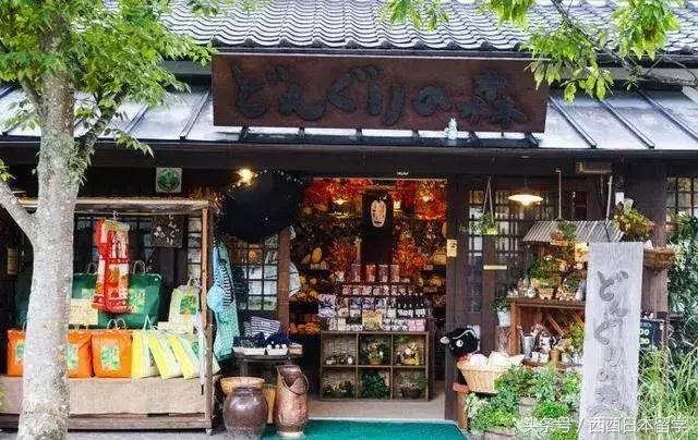 小偷家族日本大原海水浴场取景,小偷家族特写镜头